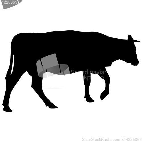 Image of Black silhouette of cash cow on white background