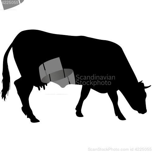 Image of Black silhouette of cash cow on white background