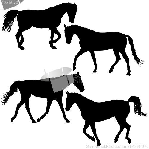 Image of Set silhouette of black mustang horse illustration