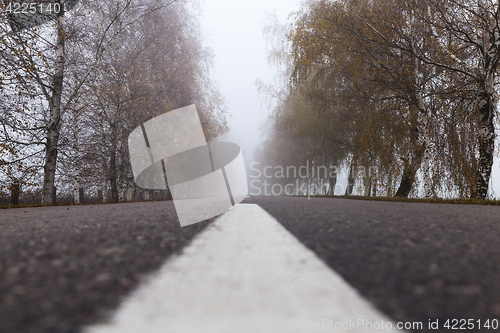 Image of asphalted road, autumn