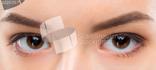 Image of Close up image of female brown eyes