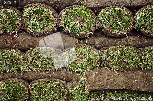 Image of Rolled sod