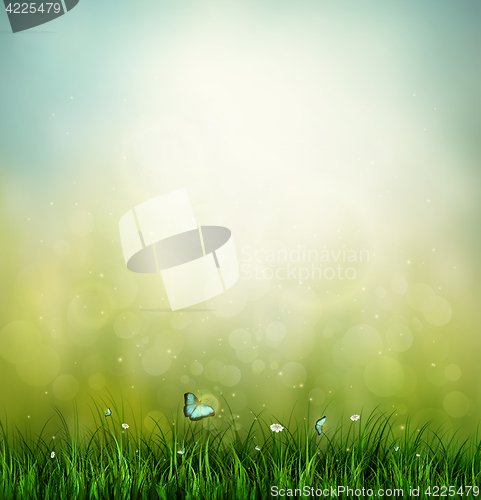 Image of Grass, Flower And Butterfly 