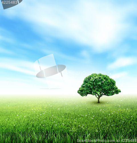 Image of Summer, Field, Sky, Tree, Grass, Flowers