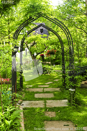 Image of Lush green garden