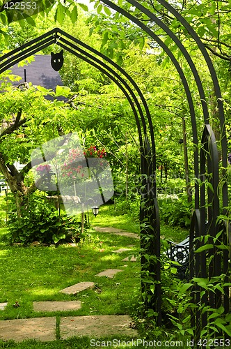 Image of Lush green garden