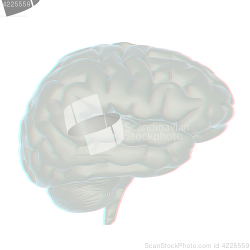 Image of 3D illustration of human brain. Anaglyph. View with red/cyan gla