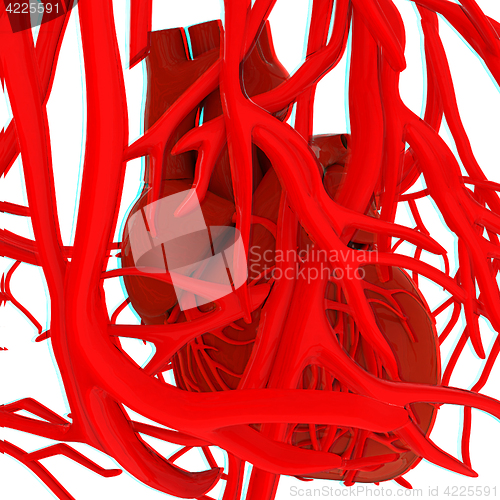 Image of Human heart and veins. 3D illustration.. Anaglyph. View with red