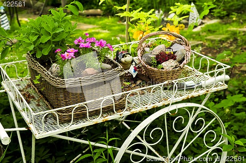 Image of Flower cart in garden