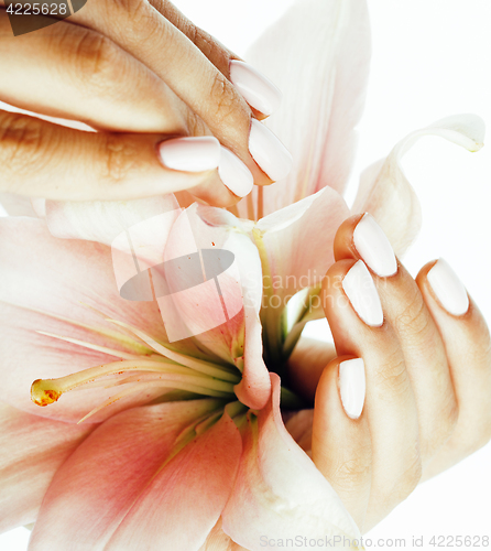 Image of beauty delicate hands with manicure holding flower lily close up isolated on white