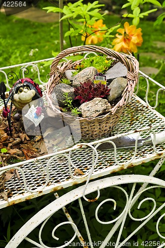 Image of Flower cart in garden