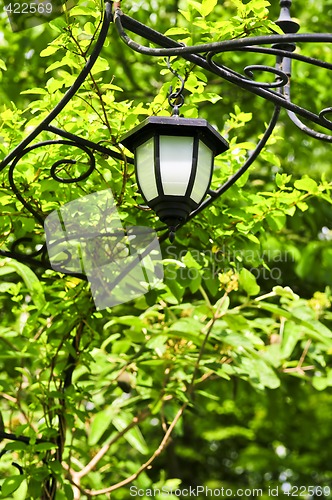 Image of Arbor with lantern