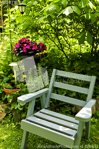 Image of Chair in green garden