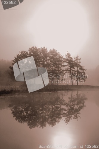 Image of In illusive light.