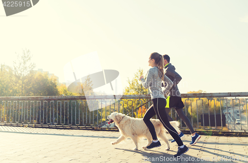 Image of happy couple with dog running outdoors