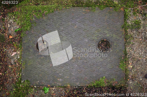 Image of Metal drain cover in concrete path