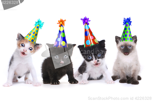 Image of Birthday Song Singing Kittens on White Background