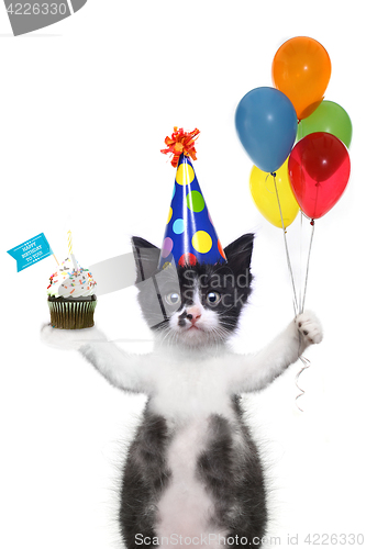 Image of Cute Kitten Wishing You a Happy Birthday