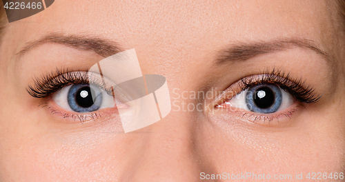 Image of Face woman with eyes and eyelashes