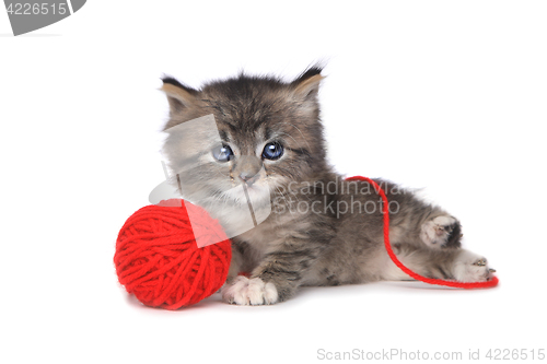 Image of Playful Kitten With Red Ball of Yarn