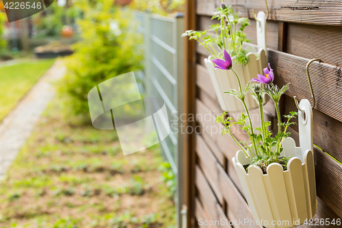 Image of Flower pot hanging on wooden fence