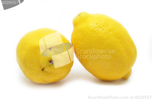 Image of Lemon isolated on white background