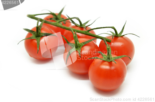 Image of Red cherry tomato