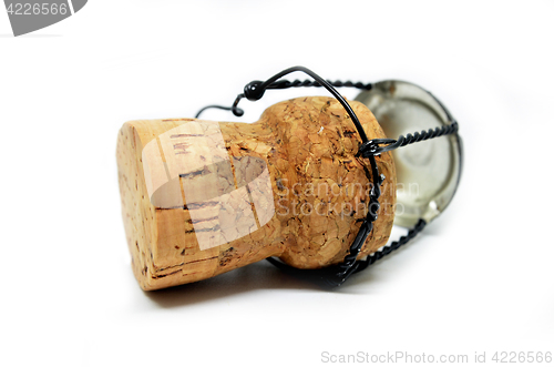 Image of Cork from champagne bottle