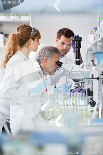 Image of Health care researchers working in scientific laboratory.