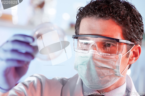 Image of Life science researcher observing cells in petri dish.