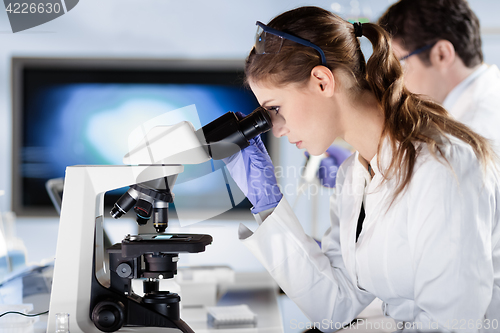 Image of Life scientist researching in the laboratory.