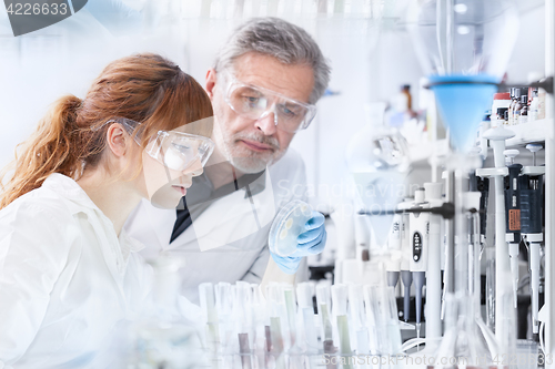 Image of Health care researchers working in scientific laboratory.