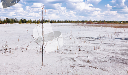 Image of Summer Landscape With White Sand