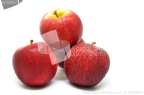 Image of Fresh red apples