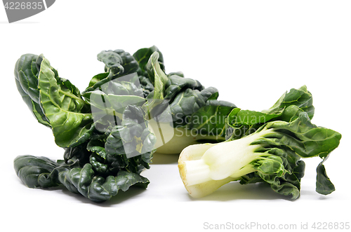 Image of Milk cabbage bok choy