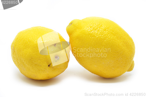 Image of Lemon isolated on white background