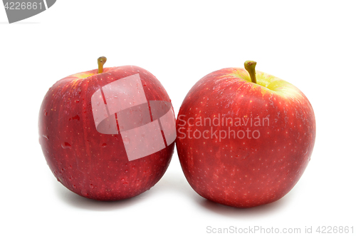 Image of Fresh red two apples