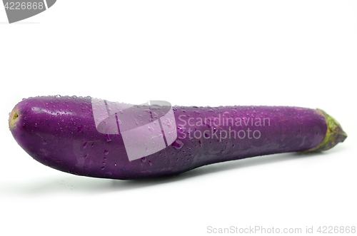 Image of Purple eggplant with water drop