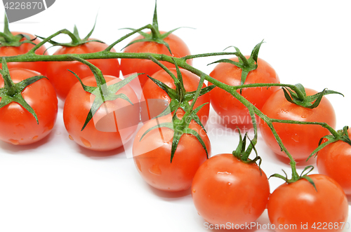 Image of Red cherry tomato