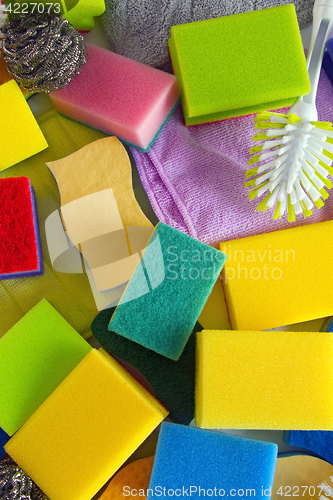 Image of Colorful sponges