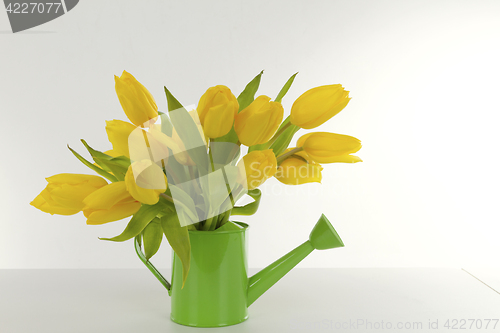 Image of Beautiful yellow tulips