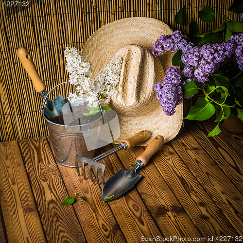 Image of Gardening tools and a branch of a blossoming white lilac