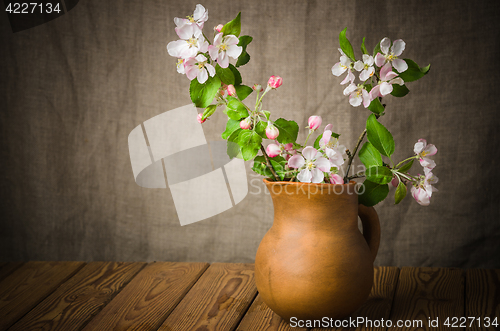 Image of Branch of a blossoming apple-tree in a clay pitcher, close-up