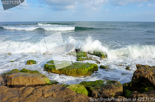 Image of Mediterranean Coast of Israel