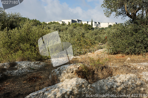 Image of Park in Jerusalem