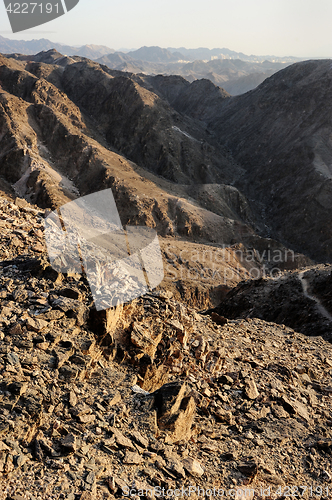 Image of Red Sea Mountains