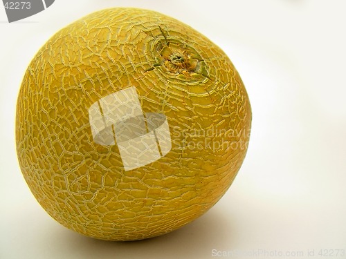 Image of melon