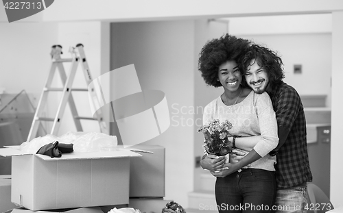 Image of multiethnic couple moving into a new home