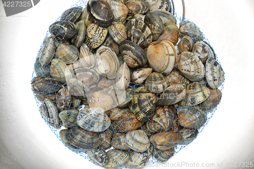 Image of Clams in Bag