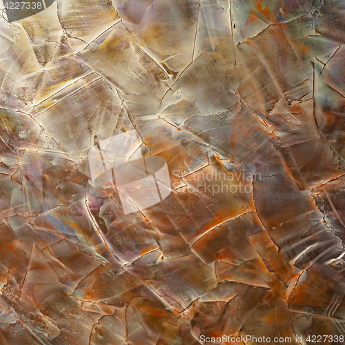 Image of Brush Strokes Wall